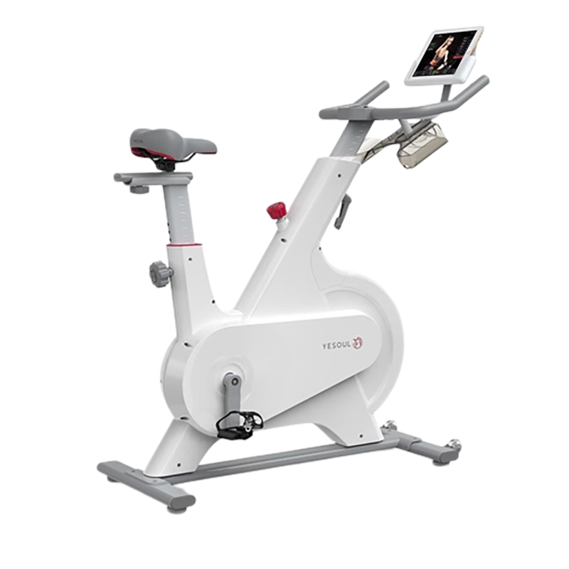 YESOUL野小兽智能动感单车 家用超静音磁控健身车室内减肥器减肥自行车M1