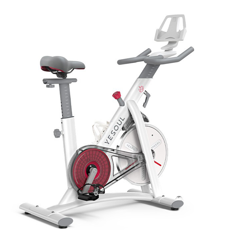 YESOUL野小兽动感单车S1家用运动健身房器材室内磁控健身车超静音
