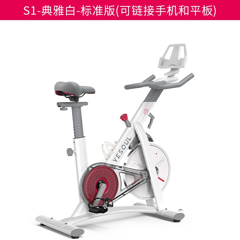 YESOUL野小兽动感单车S1家用运动健身房器材室内磁控健身车超静音 S1 白色