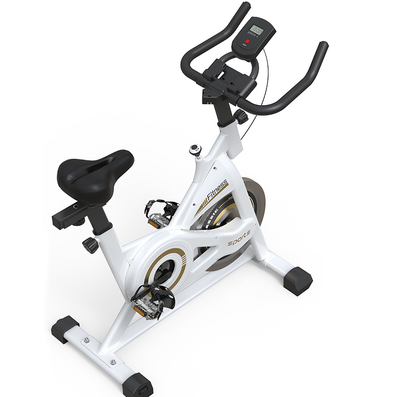 动感单车家用型磁控健身车康复训练脚踏车健身单车健身器材 白金色