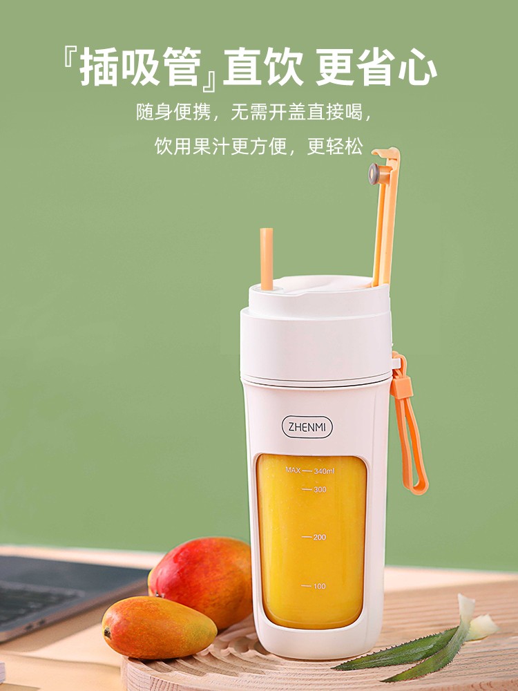 臻米10叶刀头榨汁杯 小型便携式家用多功能炸果汁机340ml USB